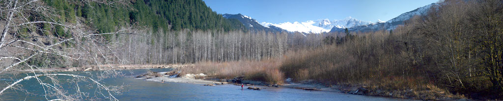 Skagit Upriver